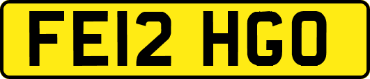FE12HGO