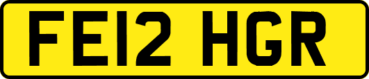 FE12HGR