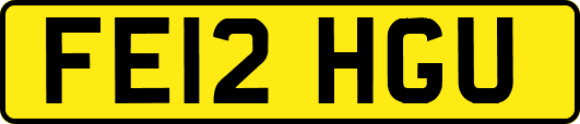 FE12HGU