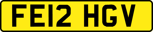 FE12HGV