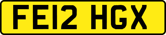 FE12HGX