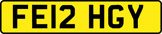 FE12HGY