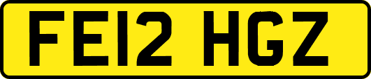 FE12HGZ