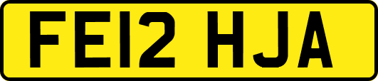 FE12HJA
