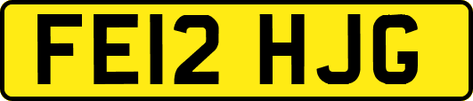 FE12HJG
