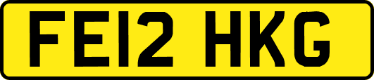 FE12HKG