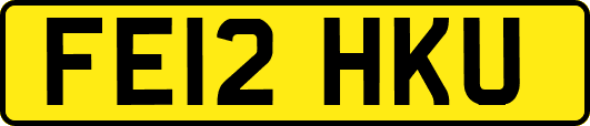FE12HKU