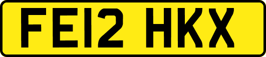 FE12HKX