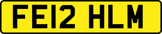 FE12HLM