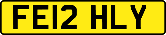 FE12HLY