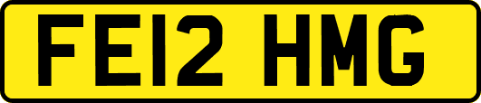 FE12HMG