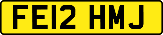 FE12HMJ