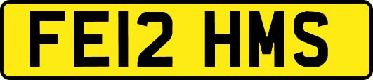 FE12HMS