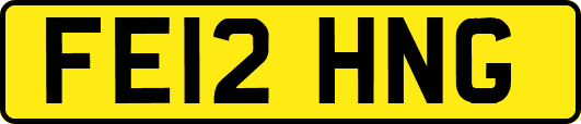 FE12HNG