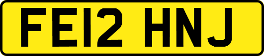 FE12HNJ