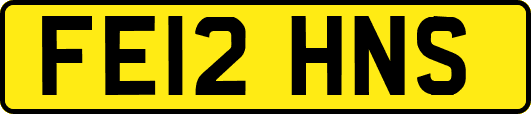 FE12HNS