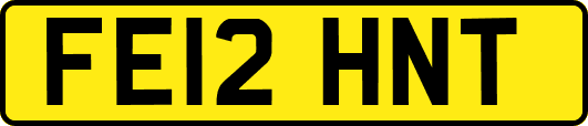 FE12HNT