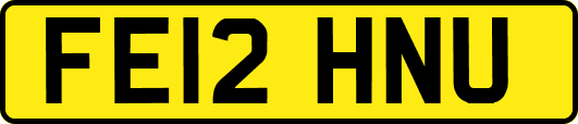 FE12HNU