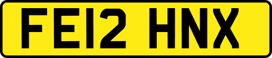 FE12HNX