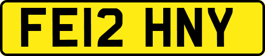 FE12HNY