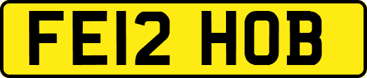 FE12HOB