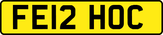FE12HOC