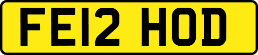 FE12HOD