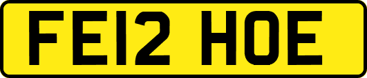FE12HOE