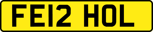 FE12HOL