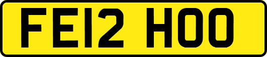 FE12HOO