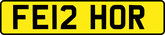FE12HOR