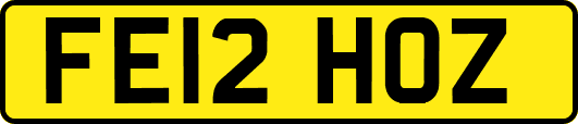 FE12HOZ