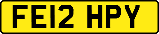 FE12HPY