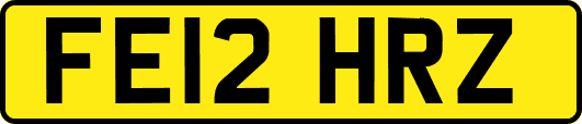 FE12HRZ