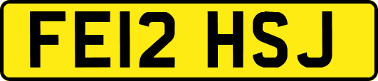 FE12HSJ