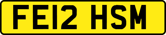 FE12HSM