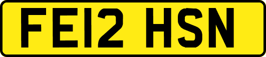 FE12HSN