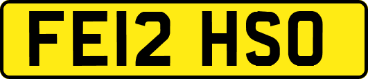 FE12HSO