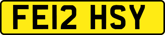 FE12HSY