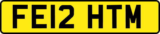 FE12HTM