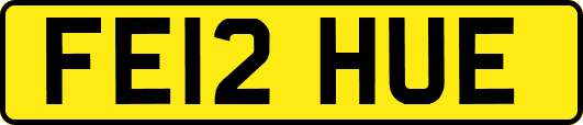 FE12HUE