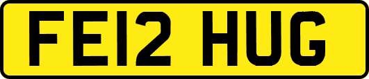 FE12HUG