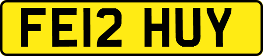 FE12HUY