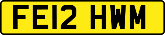 FE12HWM