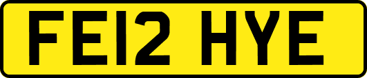FE12HYE