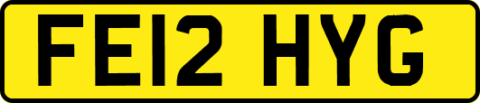 FE12HYG