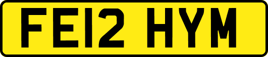 FE12HYM