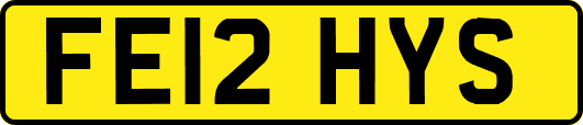 FE12HYS