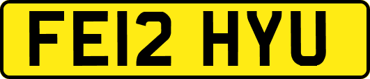 FE12HYU