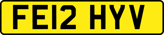 FE12HYV